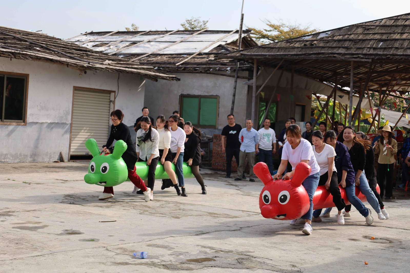 1704348481370541.jpg 1704348481370541.jpg