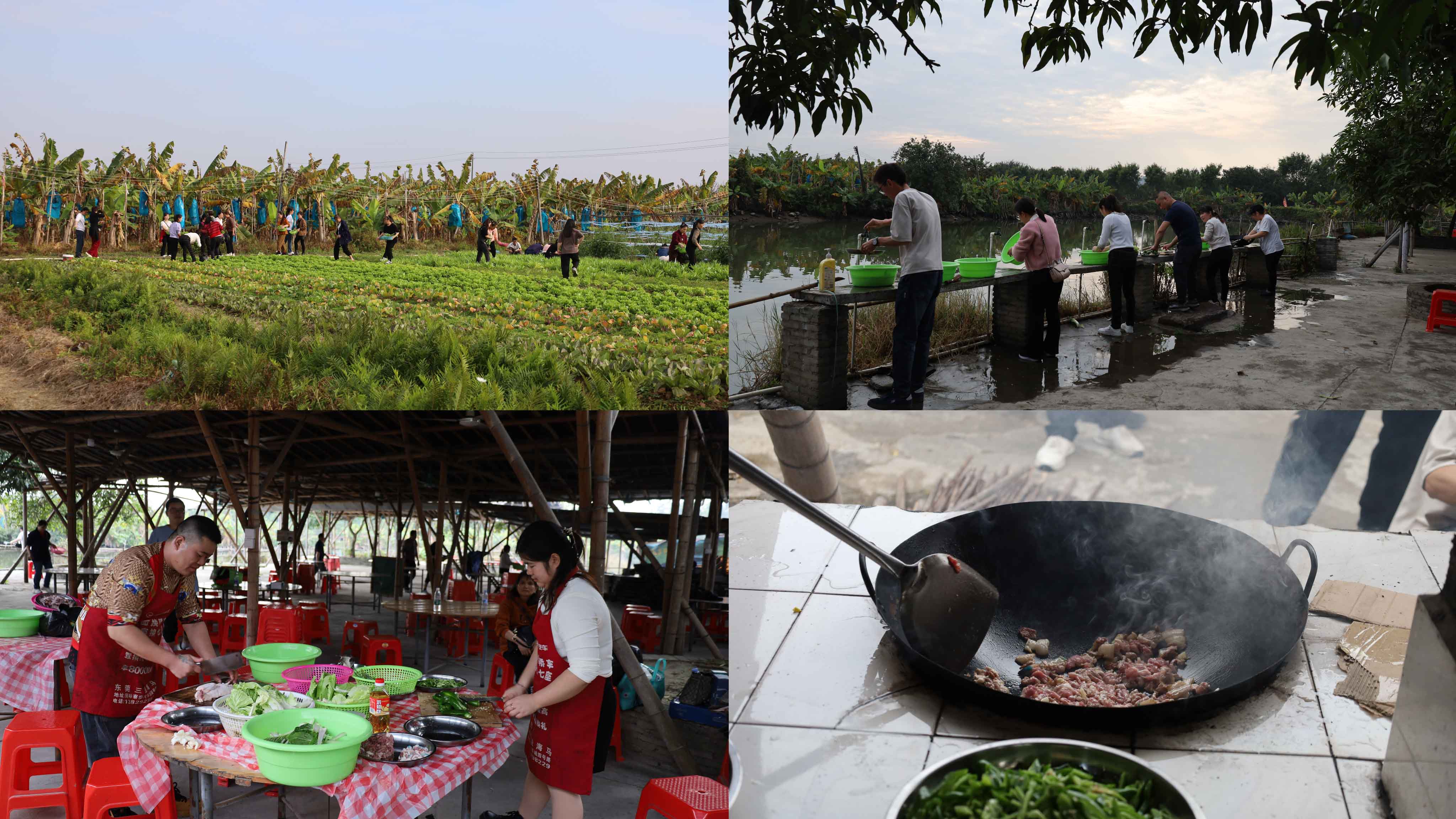 1704348575403063.jpg 1704348575403063.jpg